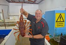 Fishing season draws to close