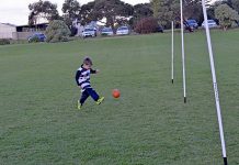 Reidy Park Auskick Session