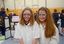 Curiosity drives creativity