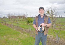 Fruitful Cide Project