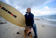 A whale of a problem at Port MacDonnell