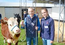 Students learn cattle handling ropes