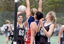 MSENA: Magpies lead the way