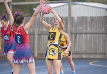 North Gambier takes upper hand over Malseed Park hosts