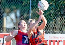 WBNA: Dogs gun for top two