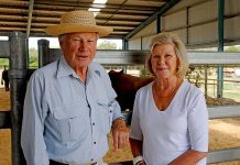 Millicent farmland buy up