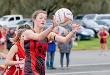 Dogs lead rival club