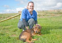Animal welfare league support