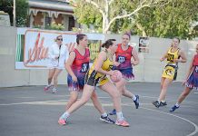 WBNA: North make finals approach