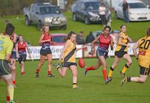 SEWFL: West Gambier produces dominant display