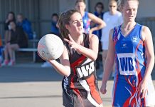 WBNA: Saints rise above Cats