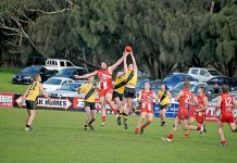 WBFL: Tigers too strong for Demons