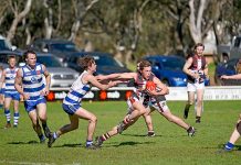 WBFL: Cats hit hard at home