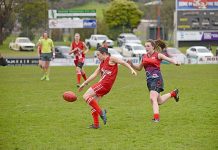 SEWFL: Demons end season undefeated