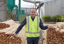 Biomass the future for forestry industry