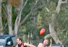 WBFL: Cats secure finals berth