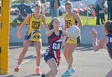 WBNA: North fall short to reigning champions