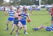 WBFL: Cats and Roos in close battle