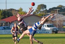 WBFL: Long journey pays off for Cats