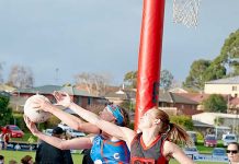 Bulldogs pull Cats in line