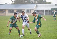 Apollo continues hot streak