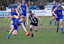 MSEFL: Mozzies continue winning form