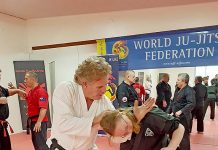 Martial art showcase