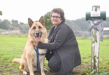 Dog owners told to ‘clean up act’