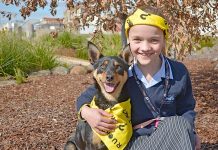 Mental health initiative