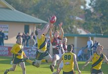 WBFL: Tigers show skill