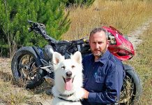 Painting a Picture: Ranger lays down law on animals