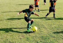 Miniroos hit the road