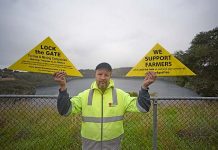 ‘Cents-less’ gas exploration risk