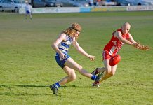 Cats climb up ladder