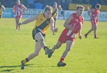 WBFL: Tigers prove a class above