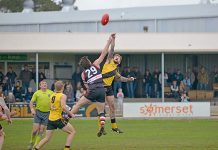 Tiger towers over Saint