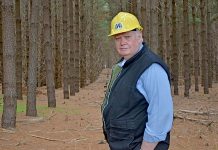 Forestry estate sold at `basement’ price