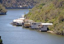 Campaign to stop shack demolition ramps up