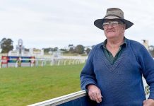 Track upgrade halts racing
