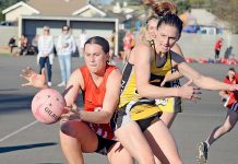 WBNA: Tigers break free from young Demons