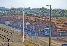 Forestry export investigation