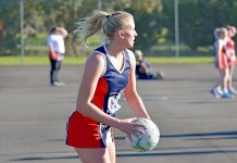 Round 14 MSENA preview