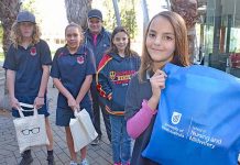 Health sector career opportunities