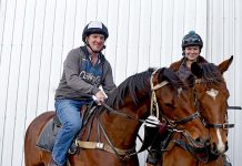 City’s gold cup race meeting scheduled for December 1