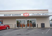 Armed robber pleads guilty to $1100 theft