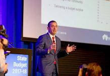 Government grants up for grabs: Koutsantonis