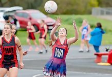 WBNA: Roos bow out
