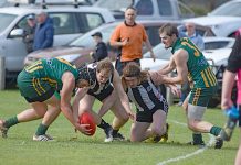 MSEFL: Mozzies take charge