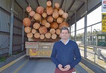 National plan to grow industry