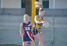 WBNA: Hunt for title